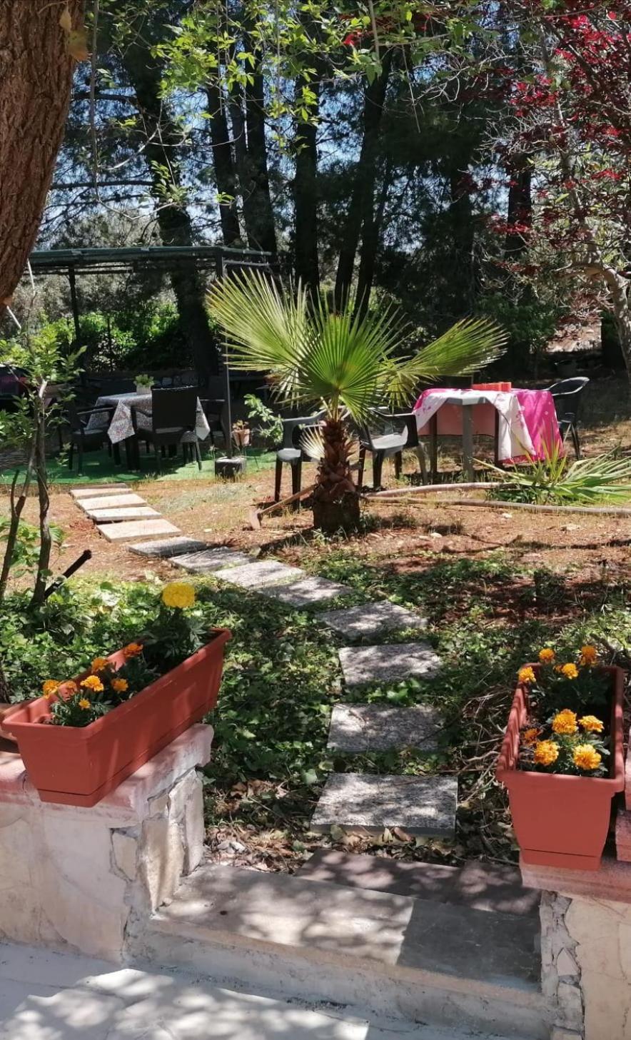 Bed & Breakfast L'isola Felice E Trulli Sotto Le Stelle Castellana Grotte