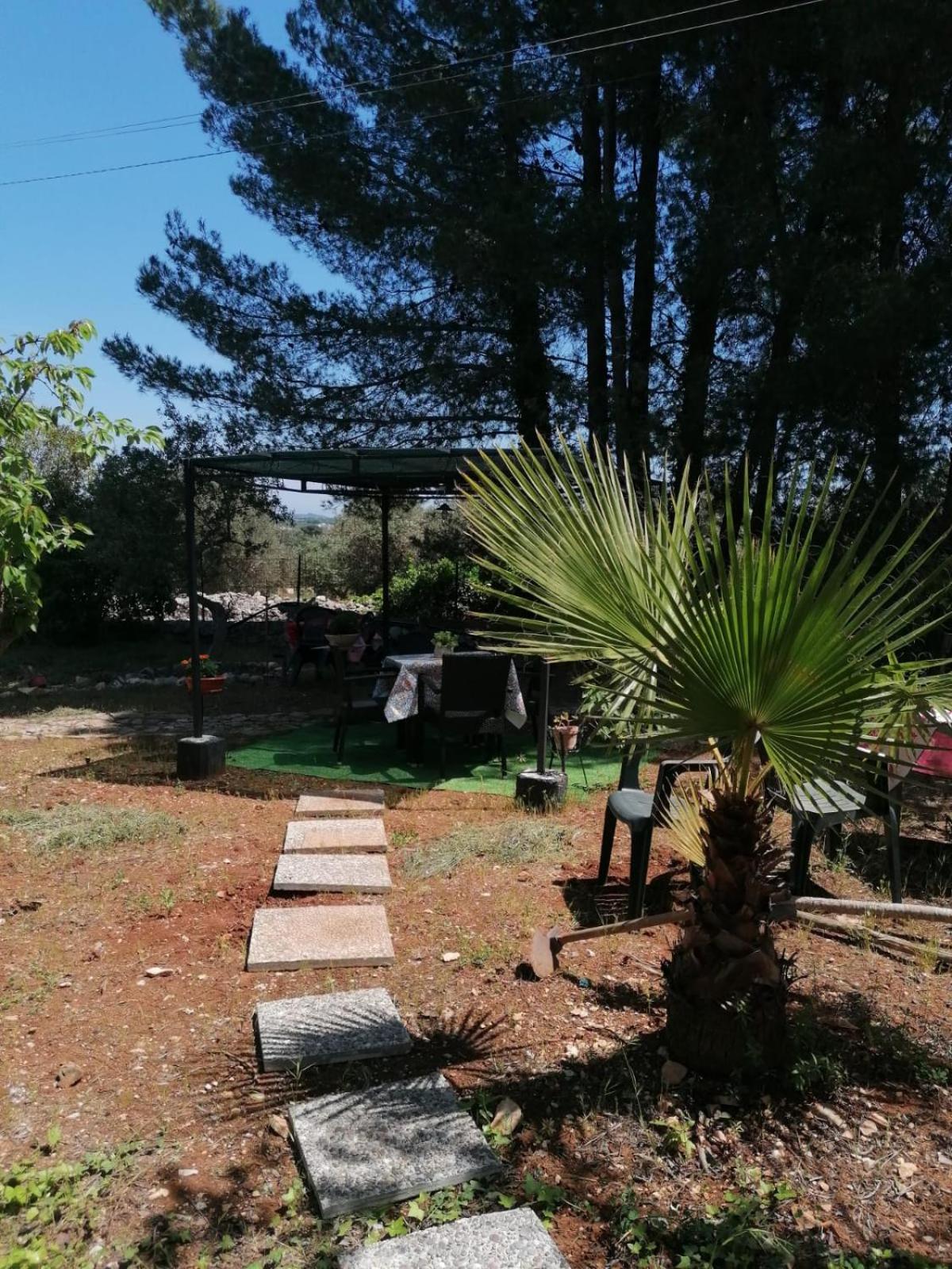 Bed & Breakfast L'isola Felice E Trulli Sotto Le Stelle