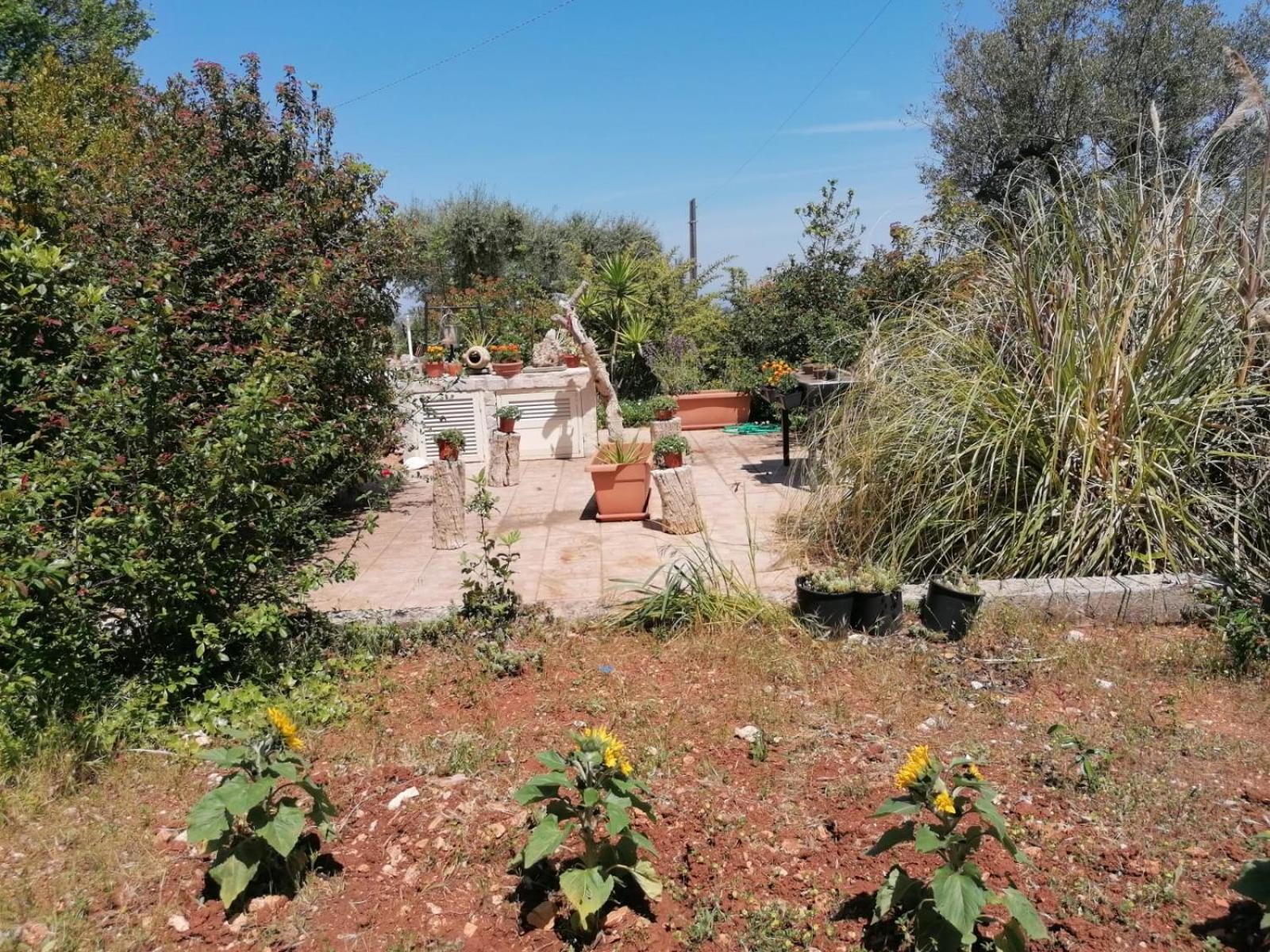 Bed and breakfast L'isola Felice E Trulli Sotto Le Stelle 3*