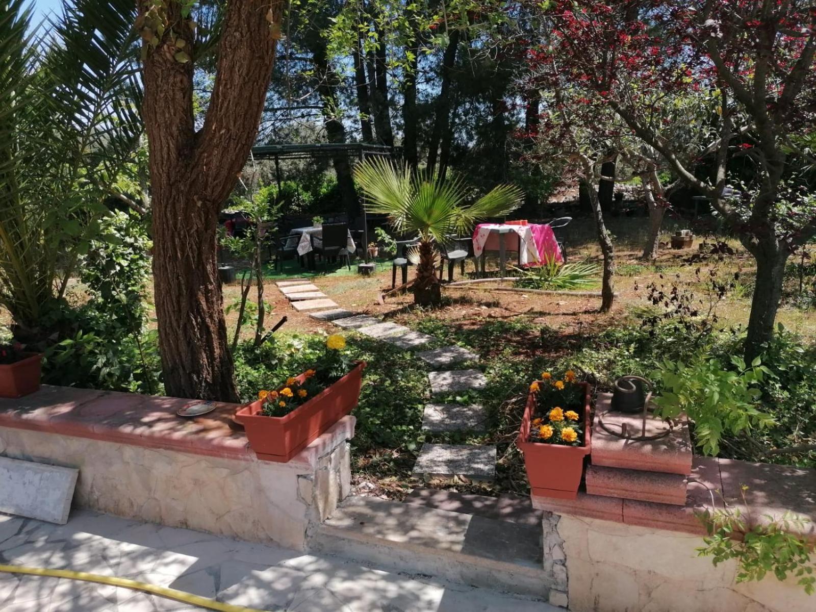 L'isola Felice E Trulli Sotto Le Stelle Couette-café
